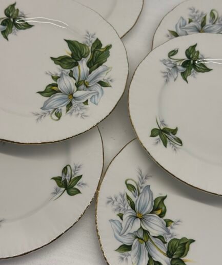 Juego de seis platos de té Parangón